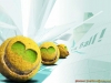 3d-wallpaper-2-082.jpg