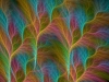 abstract-wallpaper-1-081.jpg
