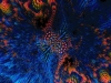 abstract-wallpaper-1-249.jpg