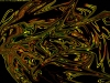 abstract-wallpaper-1-507.jpg
