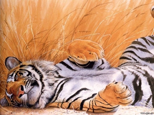 Click to view full size image