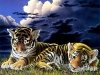 animal-wallpaper-269.jpg