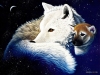 animal-wallpaper-274.jpg