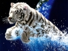 animal-wallpaper-275.jpg