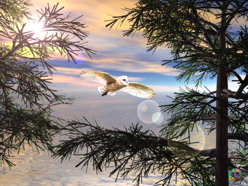 Click to view full size image