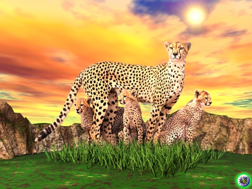 Click to view full size image