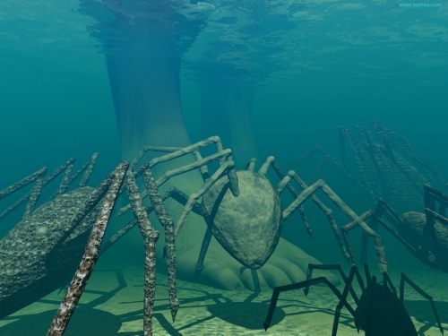 Click to view full size image