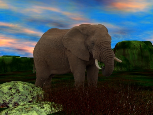 Click to view full size image