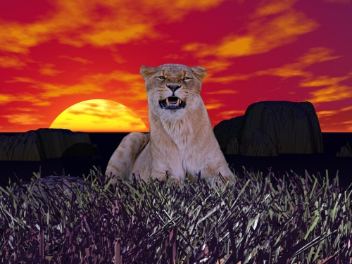 Click to view full size image