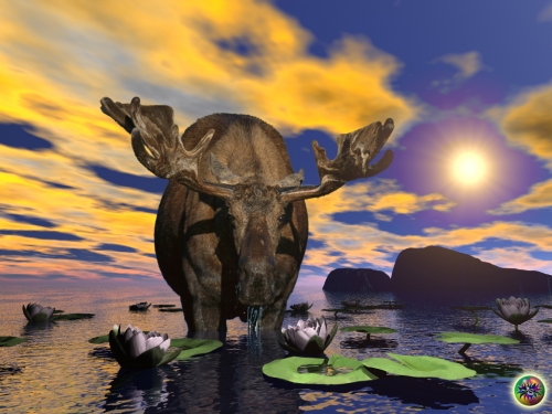 Click to view full size image