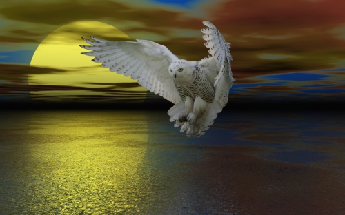 Click to view full size image