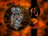 dragon-wallpaper-225.jpg