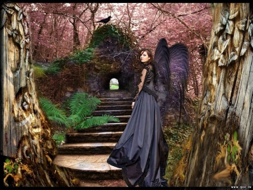 Click to view full size image