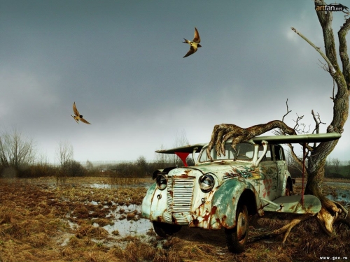 Click to view full size image