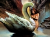 fantasy-wallpaper-1-238.jpg