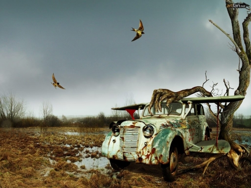 Click to view full size image