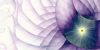 fractal-wallpaper-2-079.jpg