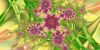 fractal-wallpaper-2-150.jpg