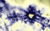 fractal-wallpaper-2-191.jpg