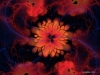 fractal-wallpaper-053.jpg