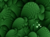 fractal-wallpaper-115.jpg