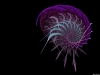 fractal-wallpaper-145.jpg