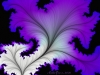 fractal-wallpaper-300.jpg