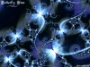 fractal-wallpaper-428.jpg