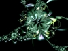 fractal-wallpaper-436.jpg