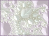 fractal-wallpaper-506.jpg