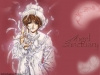 angel-sanctuary-0696.jpg