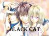 black-cat-wallpaper-0071.jpg