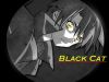 black-cat-wallpaper-0072.jpg