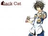 black-cat-wallpaper-0139.jpg