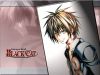 black-cat-wallpaper-0164.jpg
