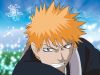 bleach-wallpaper-0040.jpg