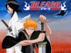 bleach-wallpaper-0048.jpg