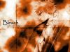 bleach-wallpaper-0193.jpg