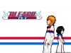 bleach-wallpaper-0197.jpg
