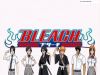 bleach-wallpaper-0225.jpg