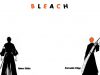bleach-wallpaper-0238.jpg