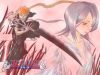 bleach-wallpaper-0259.jpg