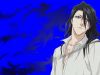 bleach-wallpaper-0260.jpg