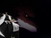 bleach-wallpaper-0332.jpg