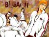 bleach-wallpaper-0365.jpg