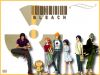 bleach-wallpaper-0371.jpg