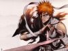 bleach-wallpaper-0395.jpg