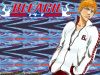 bleach-wallpaper-0480.jpg