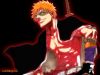 bleach-wallpaper-0496.jpg