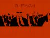 bleach-wallpaper-0511.jpg